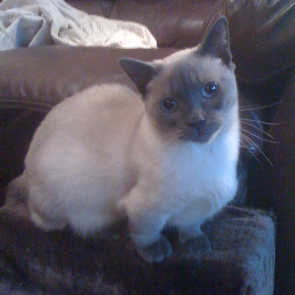 Meet your Posher, Glen - Picture 1 of 1